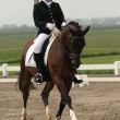 Sanne de Vries - Coen