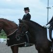 Z paarden winnaressen