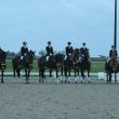 Alle paarden winnaars