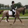 Merel Groen - Marcos